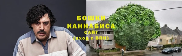 дживик Протвино