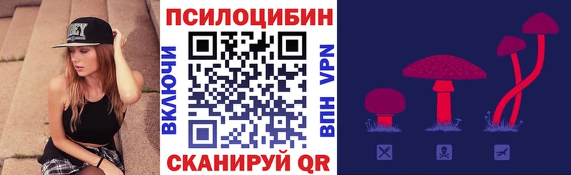 Галлюциногенные грибы мухоморы  цена   Каменск-Шахтинский 