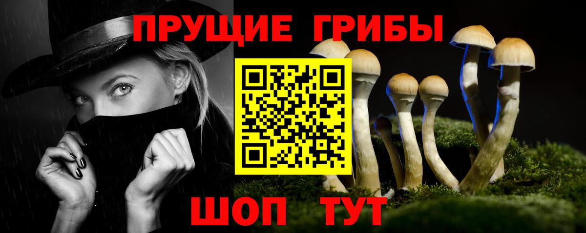 Каменск-Шахтинский  Галлюциногенные грибы мухоморы  Вход с VPN 